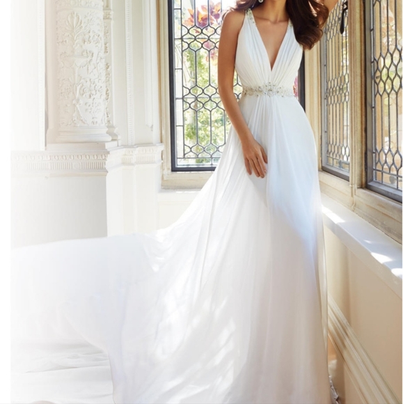 Wedding Dress and veil - Picture 10 of 11